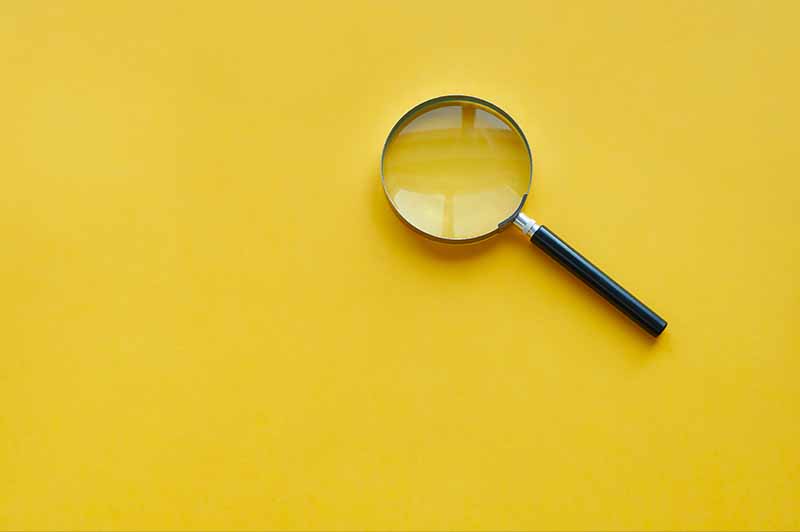 Magnifying glass